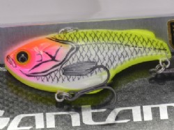 Crown shad