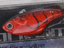 Splutter craw