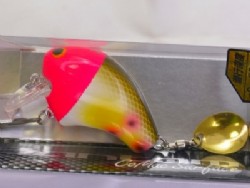 PH parrot