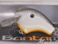 Black back shad