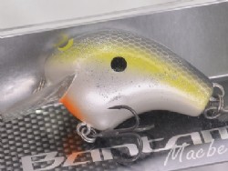 Sexy shad