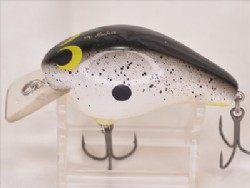 Black back shad