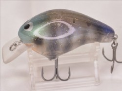 Mud gill