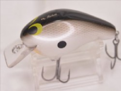 Tennessee shad