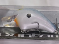 Sexy shad