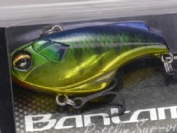 Blue gill