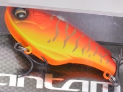 Red tiger