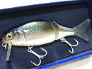 Black carp