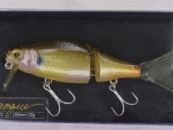 RS blue gill
