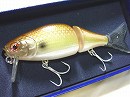 RS Tennessee shad