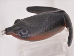 Akahara