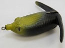 Fire salamander