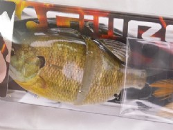 3D female gill (#548)