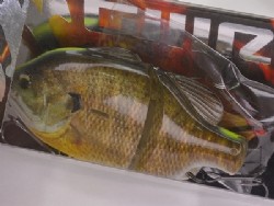 3D high visible female gill (#599)