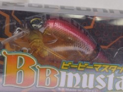 American shad