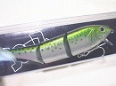 Rainbow trout