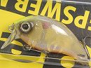 2011 DEPS web member limited model