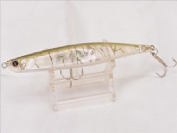 Abalone wakasagi