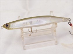 TS flash wakasagi