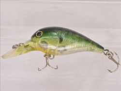 Ghost blue gill