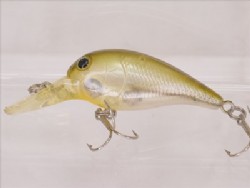 Ghost moroko