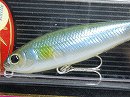 Ayu