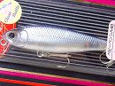 Pearl shad