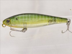 Ghost blue gill