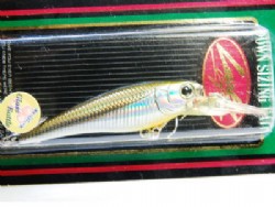 Rainbow shad