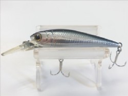 Silver minnow