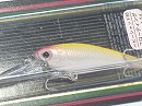 Sunrise shad