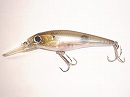 Tennessee  shad