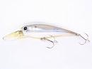 Striped shad