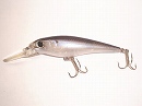 Tennessee shad