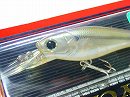 Striped shad