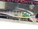 AP Gill (Abalone model)