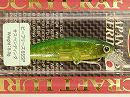 Lime chart tiger