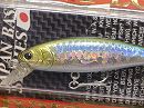 MS Japan shad