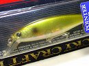 Golden shiner (Package damaged)