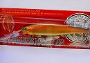 Transam shad