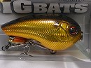 Gold scale shiner (#723)