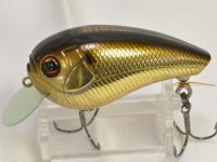 Stain gold