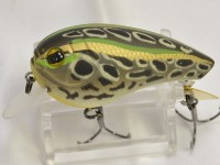 Tonosama gaeru (Wood rattle)
