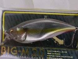 Jukucho shad