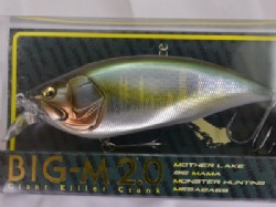 Wagin hasu BM