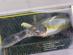 Megabass Big-M 7.5 Magnum Japanese Bass Hard Lure - La Paz County