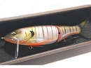 Gill female