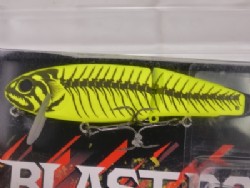 Blast chart bone
