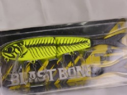 Blast chart bone