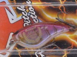 2010 Bassmaster Allstar Classic model